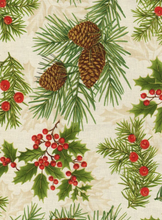 Load image into Gallery viewer, Make It Christmas book by Fran Morgan and Donna Robertson, including 3 Yard Quilt Kit
