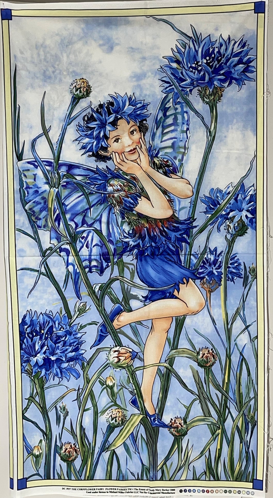 The Cornflower Fairy. Flower Fairies