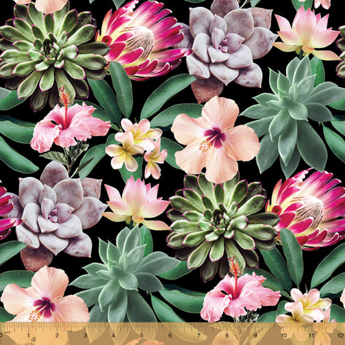 Succulents 51792-D Digital Print from Windham